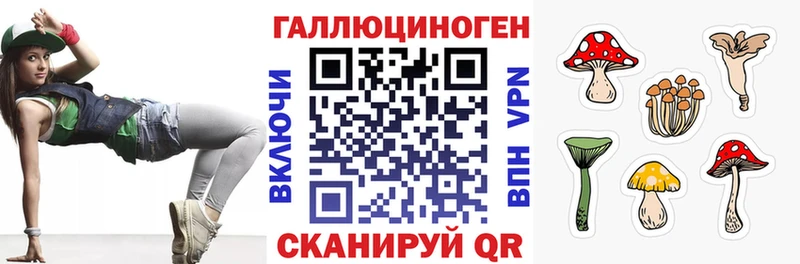 Купить закладки  Ядрин  Псилоцибиновые грибы прущие грибы 