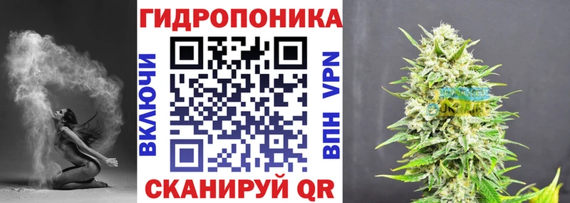 Бошки марихуана OG Kush  Купить где  Ядрин